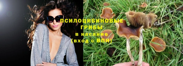 a pvp Киреевск