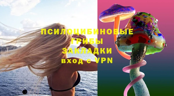 ALPHA-PVP Кинешма