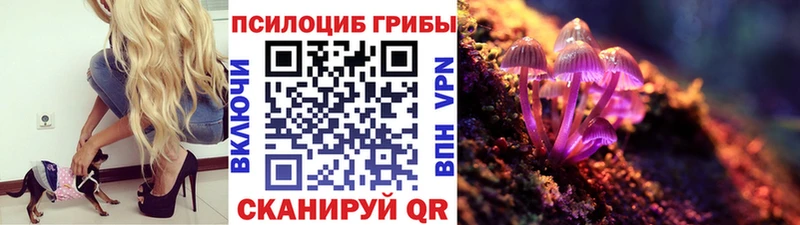 Псилоцибиновые грибы мицелий  Купить закладки  Рыльск 